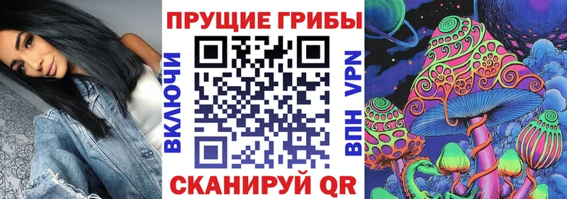 Псилоцибиновые грибы мицелий Аксай